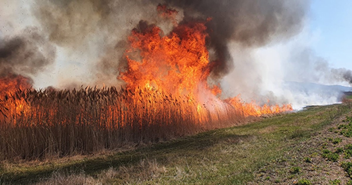 Un bărbat a fost găsit mort de pompierii care stingeau un incendiu de vegetație uscată, în Neamț