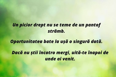 Proverbe despre viață
