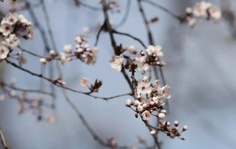 Cum va fi vremea mâine. Prognoza meteo pentru joi, 10 aprilie 2025