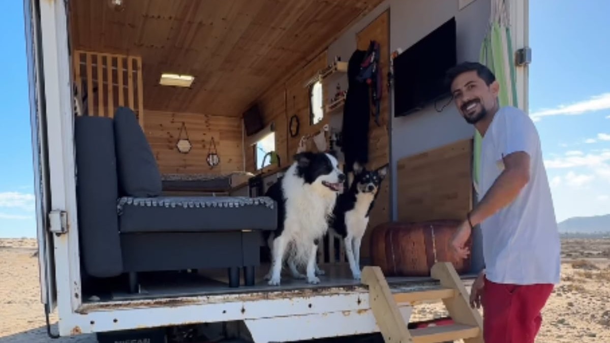 Un bărbat cu pantaloni scurți roșii, pe o scară, lângă un camion. În acesta se află doi căței