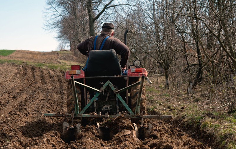 Libertatea te ajută | Județele în care se vând cele mai multe terenuri agricole