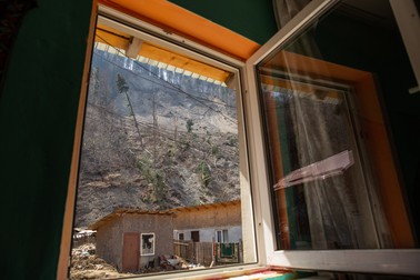 Bătrâna și fiica ei au văzut pe fereastră cum se prăbușesc copacii