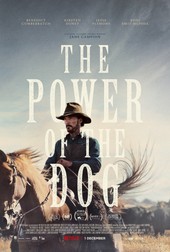 „The Power of The Dog" | Foto: Profimedia