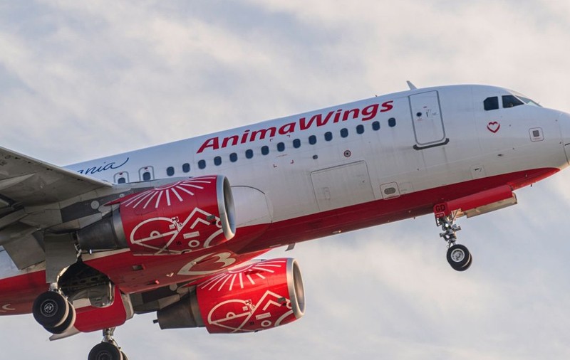 AnimaWings a cerut insolvența, iar zeci de curse sunt anulate. Ce pot face românii care s-au trezit cu zborul anulat și cum își pot salva vacanța. Sursă foto: Shutterstock