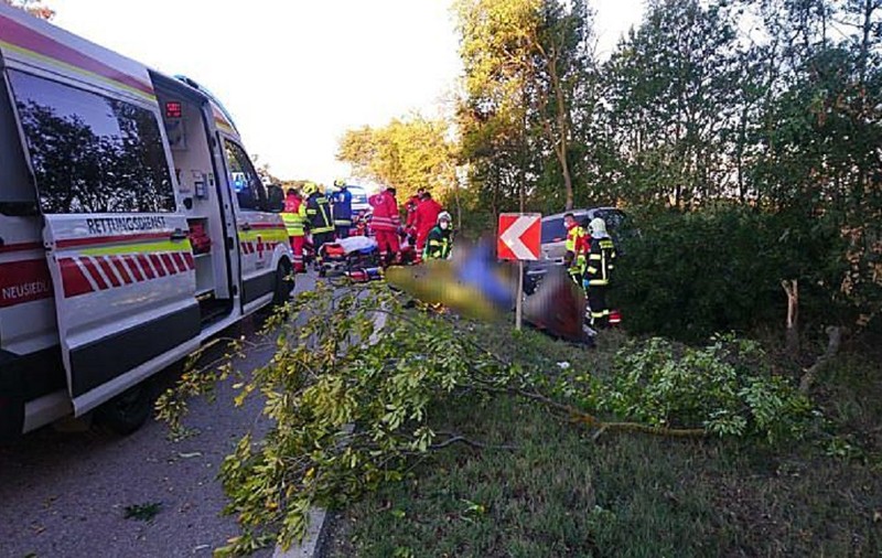 Un român a băgat 15 oameni în spital, când încerca să scape de polițiștii care-l urmăreau pe o șosea din Austria