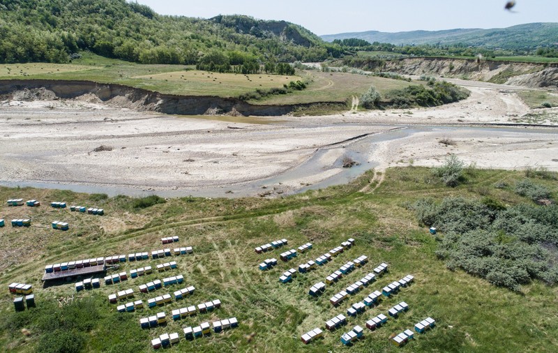 UPDATE/Două persoane au murit înțepate de albine și alta e în șoc anafilactic, în Buzău (FOTO&VIDEO)