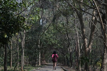 A visitor enjoys the Tiquatira Linear Park Engineer Werner Eugenio Zulauf, in Sao Paulo, Brazil, on September 4, 2024. In little more than two decades, Helio da Silva has planted more than 40,000 trees -160 different species- in the 3.2 kilometre long and about 100 metres wide plot of land amid the concrete in Sao Paulo, a green gift to the megalopolis in times of climate crisis.,Image: 911531149, License: Rights-managed, Restrictions: TO GO WITH AFP STORY by Rodrigo ALMONACID, Model Release: no