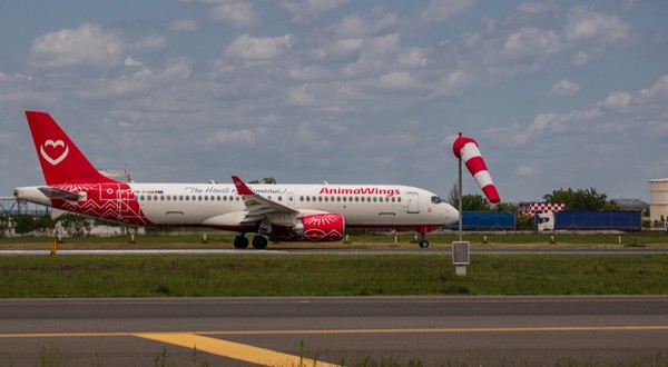 Un avion Animawings pe pista unui aeroport