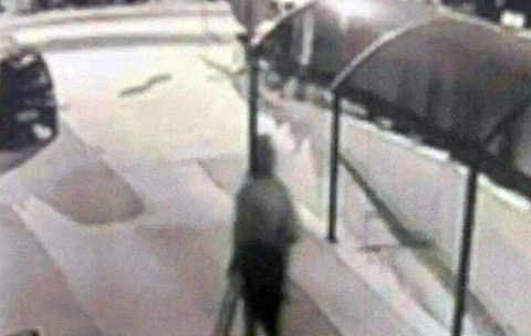 Șoc în Bulgaria: patronul clubului din prima ligă a fost împușcat mortal » Momentul surprins de camere