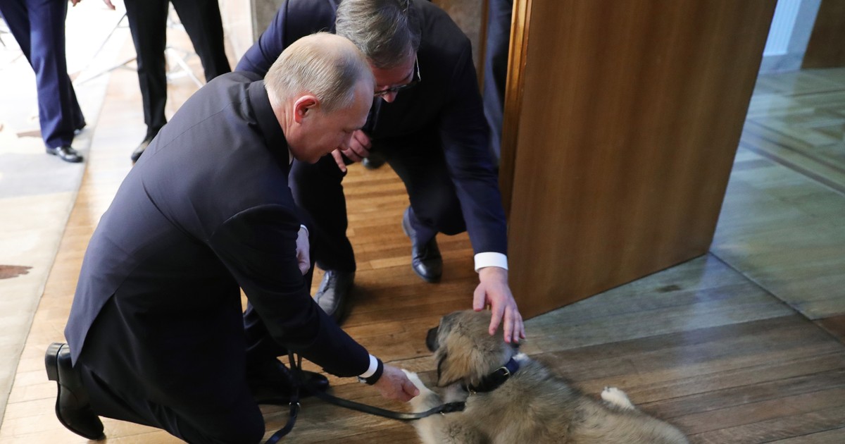 Ce cadou surprinzător a primit Vladimir Putin din partea președintelui Serbiei
