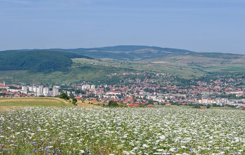 Județul Harghita va fi Regiune Gastronomică a Europei în 2027. Traseele culinare și fermele „Open Farm” s-au deschis deja pentru turiști