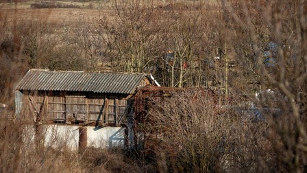 Acestea sunt cuștile în care ține Cilan cei doi urși care i-au mai rămas, în spații de 80-90 de metri pătrați. În dreapta, după gratii, este unul dintre animale