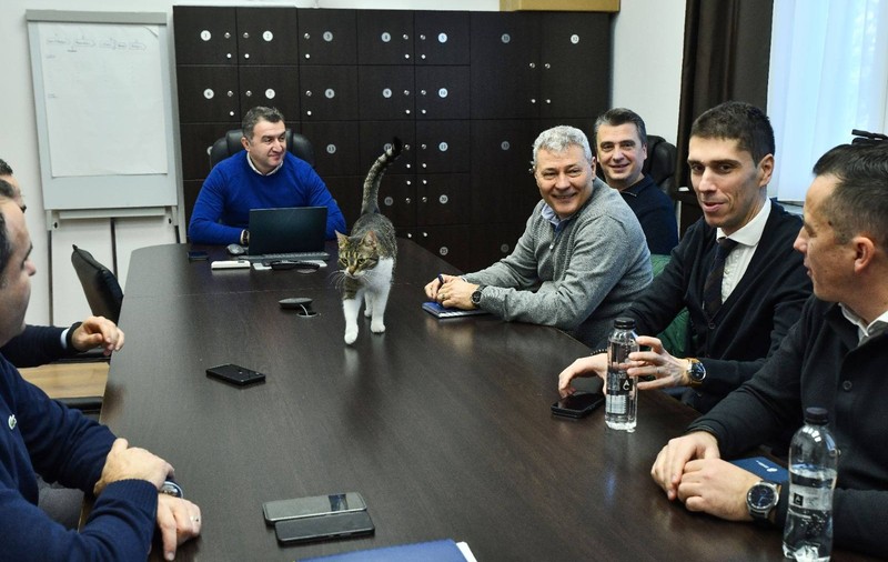 Pisica-vedetă a Primăriei Sectorului 6, găsită de un pompier după ce a fost furată: „Vă rugăm să nu o mai luați pe Jessy!”