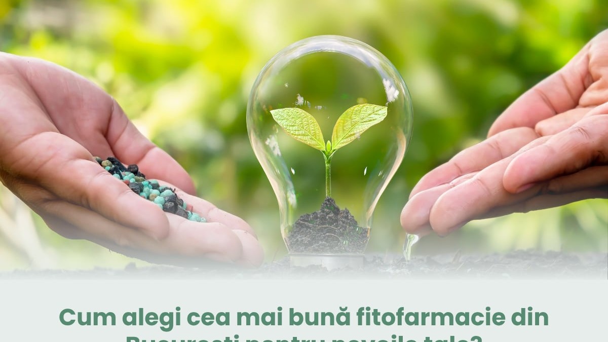 Cum alegi cea mai bună fitofarmacie din București pentru nevoile tale?