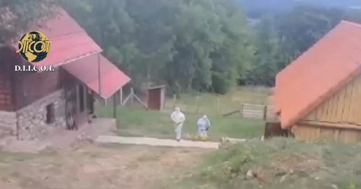 Arhiva foto