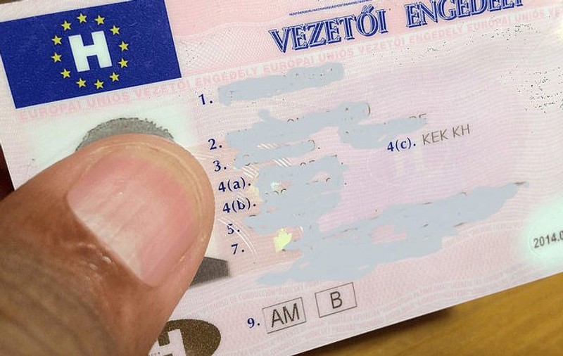 Un bărbat care a cumpărat un permis fals de conducere s-a dus la poliție să îl preschimbe, în Satu Mare. S-a ales cu o condamnare