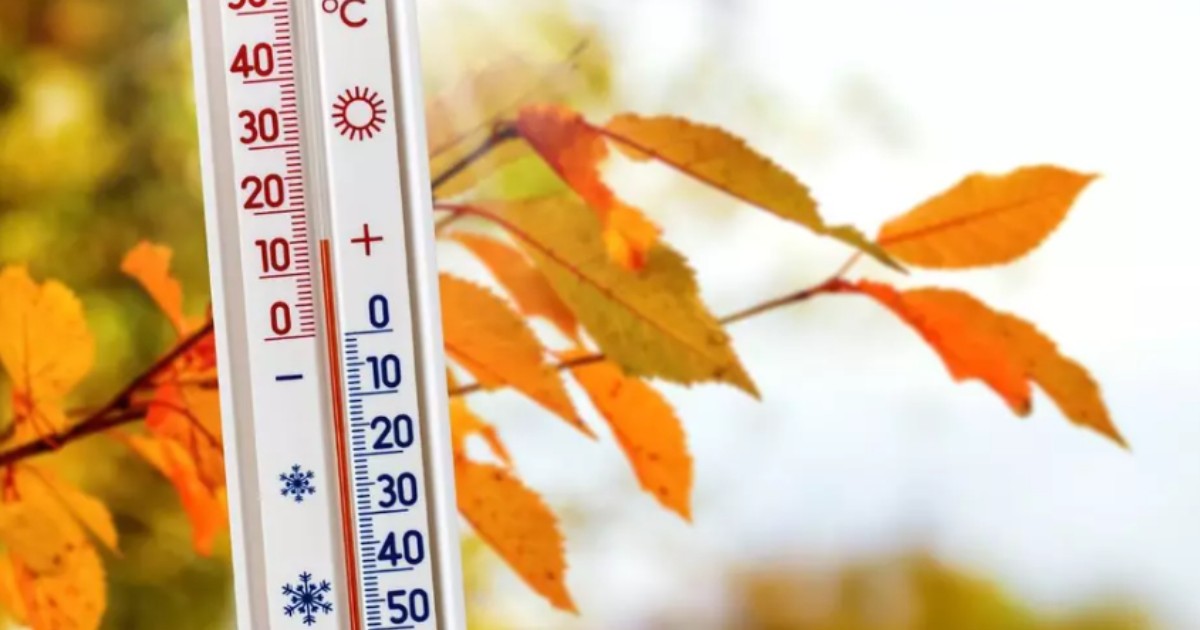 Un termometru care indică temperatura de 10 grade iar în fundal se văd frunze de toamnă