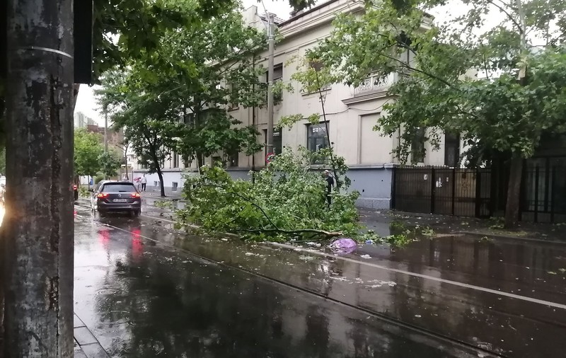 Dezastrul lăsat în urmă de furtunile de cod roșu și cod portocaliu din România: un bărbat a murit și zeci de străzi au fost blocate de copaci