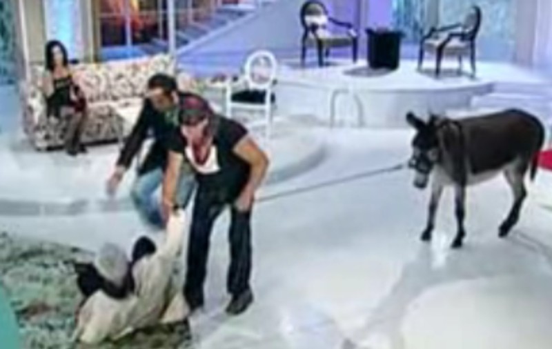 Video | Baritonul John Modinos a căzut în direct la Happy Hour! 