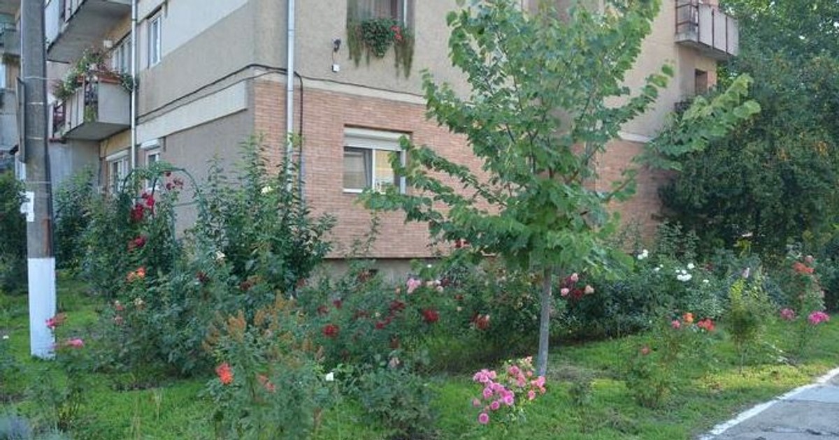 a transformat spaţiul din jurul blocului într-o grădină