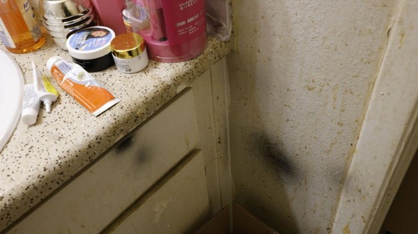 Umiditatea crescută din baie sau cămară poate fi redusă folosind doar o farfurie cu sare grunjoasă. Foto: Getty Images