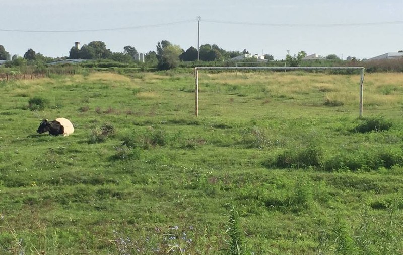 Unde a început Budescu fotbalul. Așa arată acum gazonul pe care a călcat prima dată! | FOTO