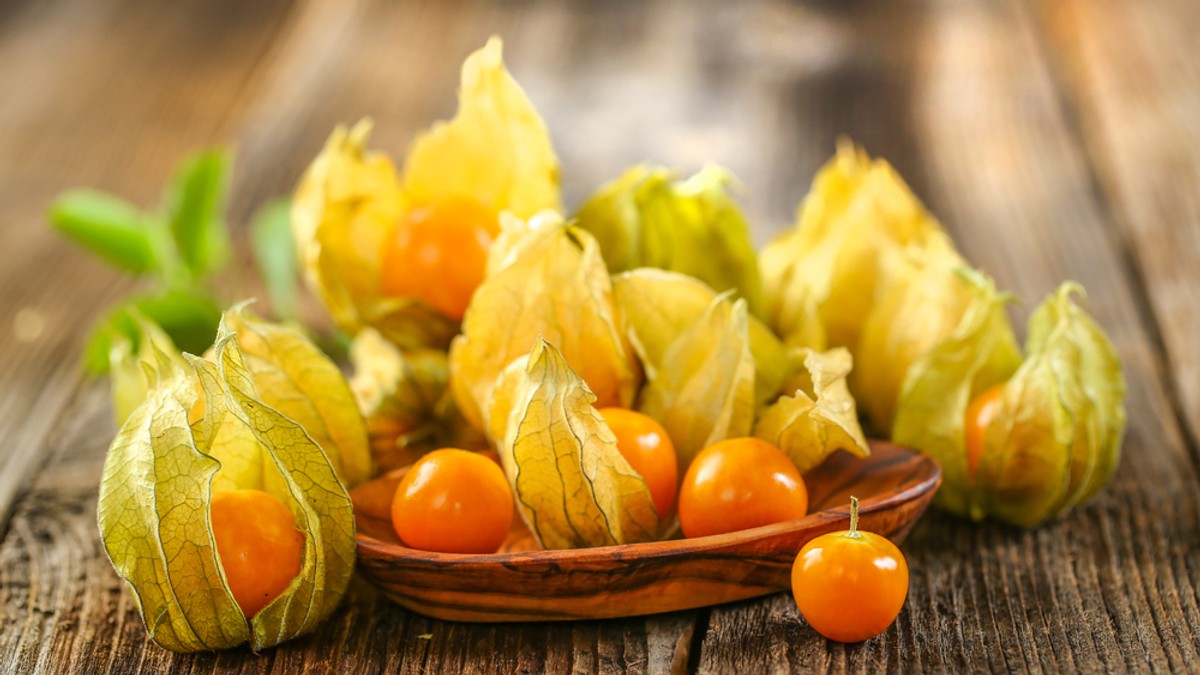 Physalis-beneficii