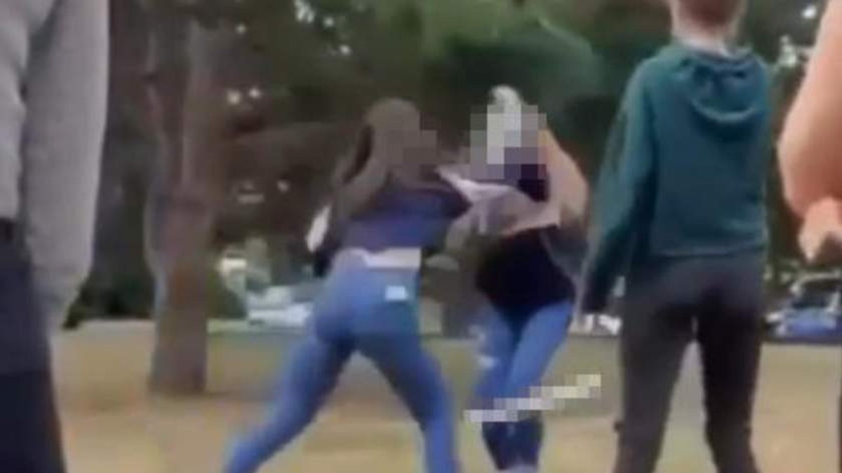 Adolescentă româncă, filmată în timp bate o colegă într-un parc din Viena