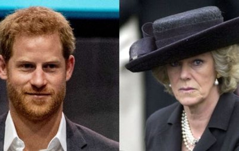 Prințul Harry o apără pe Camilla Parker: Nu este o mamă vitregă rea