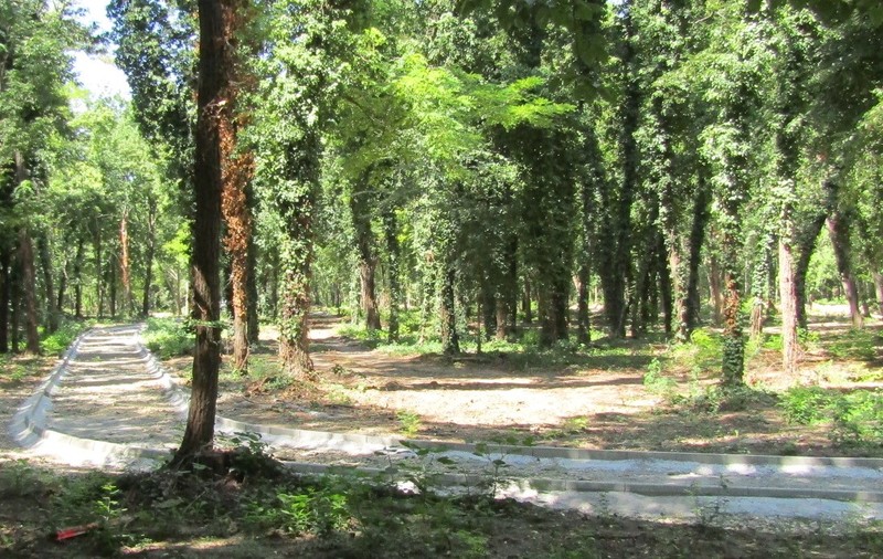 Cum va arăta Parcul Căprioarelor cu automate de sare, în care copiii vor putea să-l hrănească pe Bambi de Brăila: „Vor răsări și eternii cârcotași"