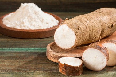 Arbust tropical cu rădăcini îngroșate sub formă de tuberculi din care se obține tapioca