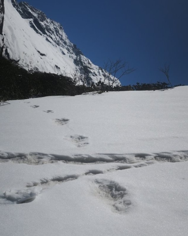 Urme de Yeti, descoperite în Nepal. Anunțul făcut militarii indieni / FOTO
