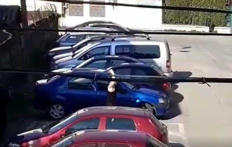 Veselie în pandemie. Carantină cu muzică și mișcări de aerobic în Bistrița
