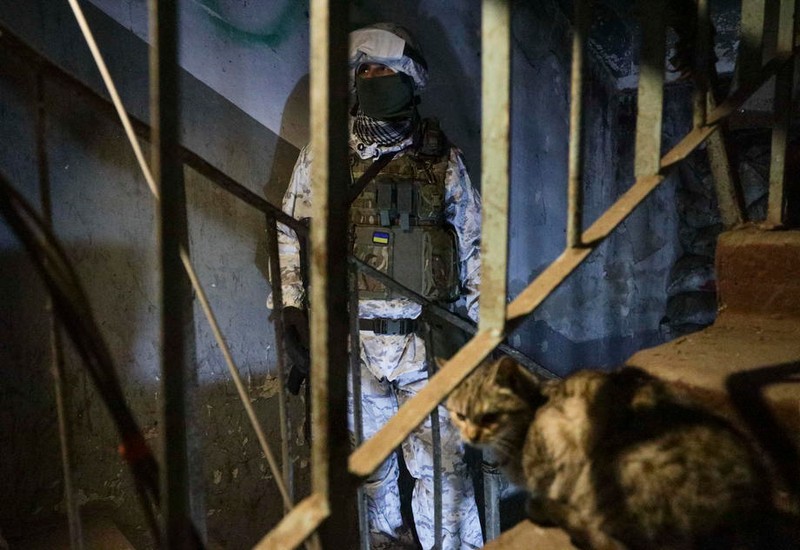 Un soldat ucrainean și o pisică într-un adăpost din orașul Avdiivka Foto: EPA