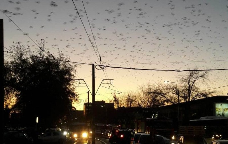 VIDEO/ Pană de curent în București. Transelectrica: Până la ora 17:40, toți consumatorii casnici afectați au fost realimentați