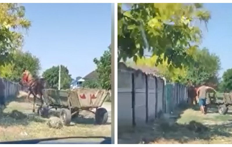Tânăr de 19 ani, cercetat după ce și-a bătut calul înhămat la o căruță. Momentul a fost filmat  | VIDEO