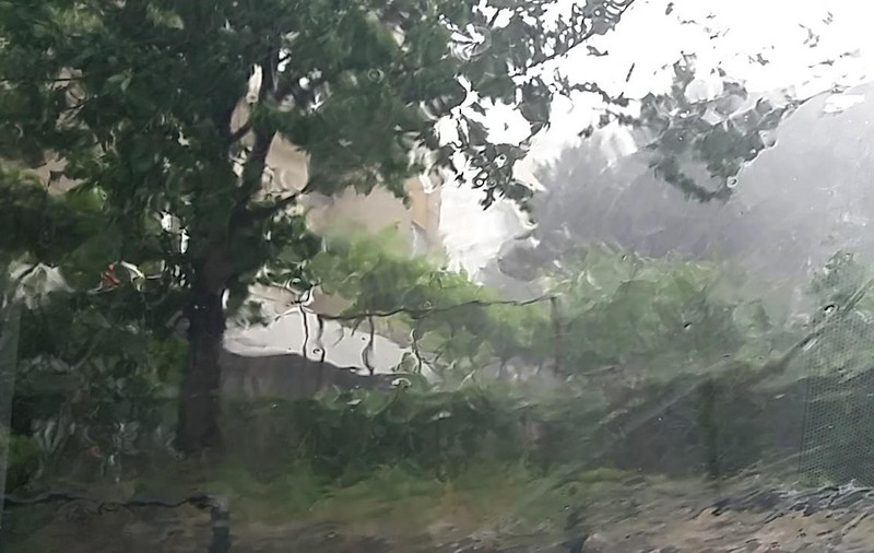 Avertizare nowcasting de cod portocaliu pentru județele Giurgiu, Ilfov și Călărași