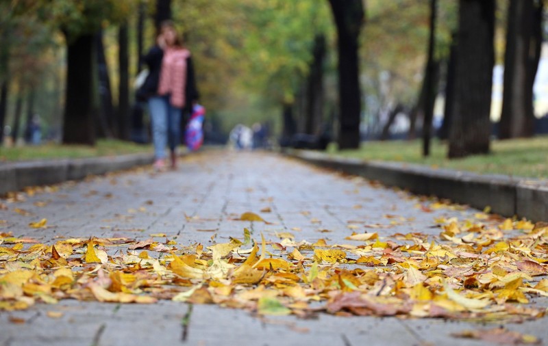 Cod galben de vânt puternic în mai multe județe din țară. Prognoza meteo pentru București