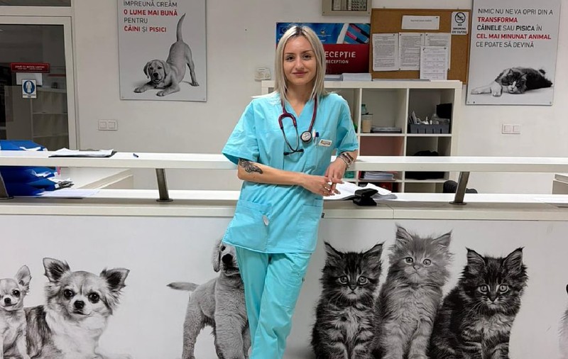 O studentă din Timișoara a dezvoltat cu 1.000 de lei o platformă pentru urgențe veterinare