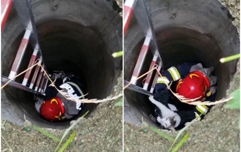 O pisică blocată într-un canal a fost salvată de pompierii din Piteşti