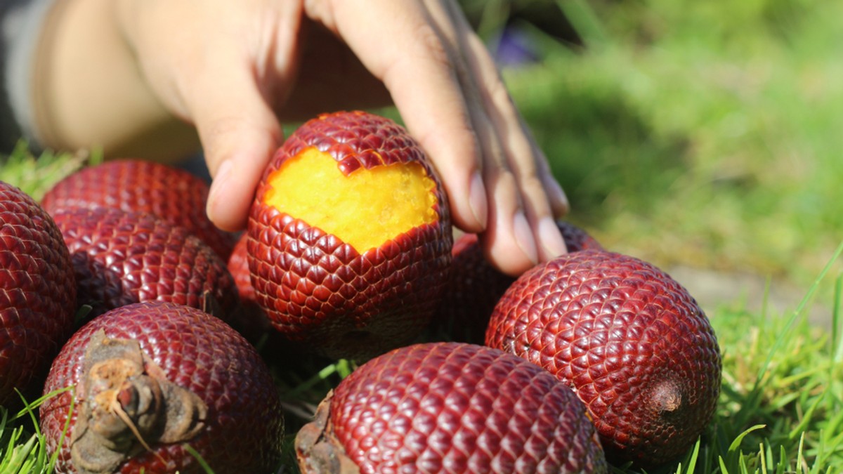 Aguaje - fruct exotic- beneficii