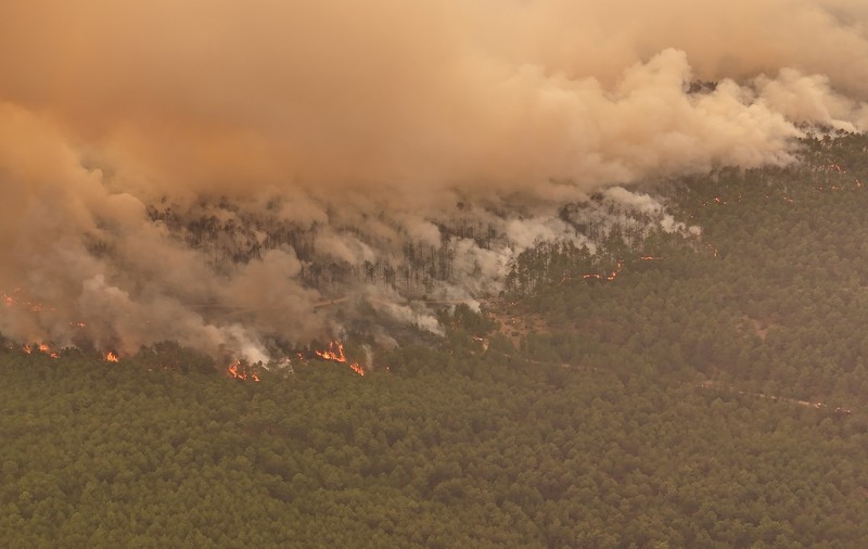 Cel puțin 17 persoane au murit și mii de oameni și-au părăsit locuințele din cauza incendiilor majore din Turcia și estul Mediteranei
