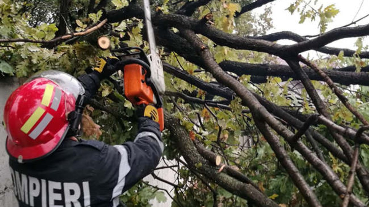 Imagine cu un pompier care intervine pentru îndepărtarea unui copac căzut în Arad