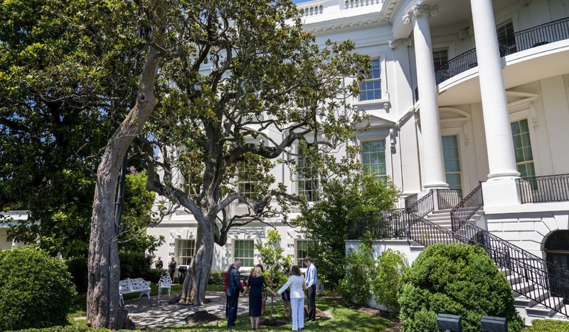 Jackson Magnolia, Casa Albă