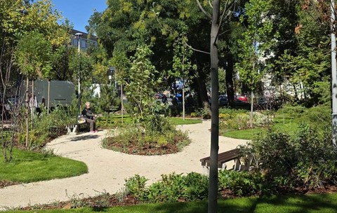 O celebră arteră din București într-o imensă grădină urbană. Sursă foto: Facebook /Primăria Sectorului 1.