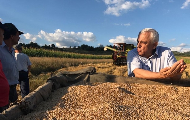 Ministrul Daea refuză cererea unui comisar european de a opri exportul a 70.000 de oi către țările arabe