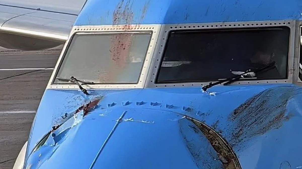 avion Boeing 737 după ce a lovit 2 lebede