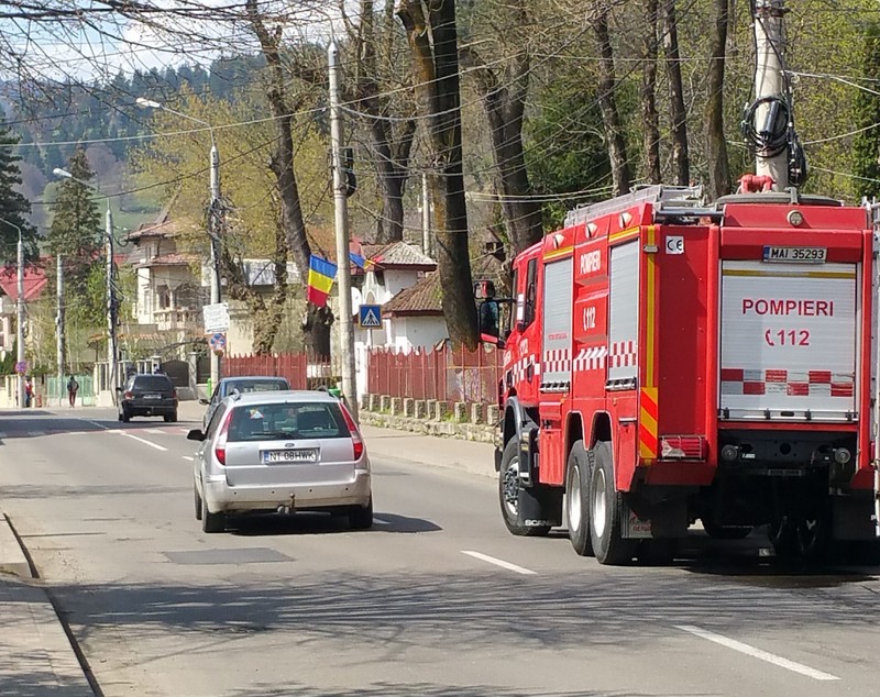 UPDATE: Maimuța care a evadat de la Zoo Neamț a fost prinsă. Macacul a fost tranchilizat / FOTO&VIDEO
