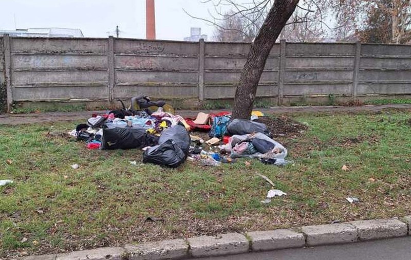 Doi bărbați din Timișoara, amendați cu 90.000 de lei pentru că au aruncat gunoiul pe domeniul public