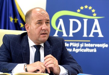 Adrian Pintea | Foto: Agerpres